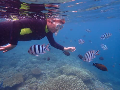 サンゴ礁とお魚がいる海で水面に浮かぶウェットスーツを着たシュノーケラー