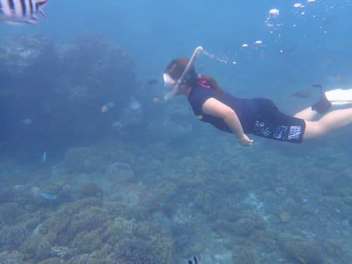 シュノーケリングでサンゴ礁の海に潜る女性