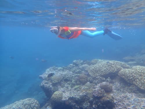 サンゴ礁の海に浮かんでいるシュノーケラー