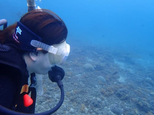 女性ダイバーの横顔とサンゴ礁の海景