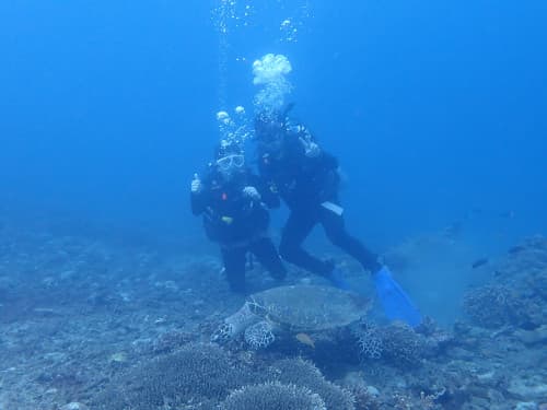 ウミガメの後ろに2人のダイバーがいる海景