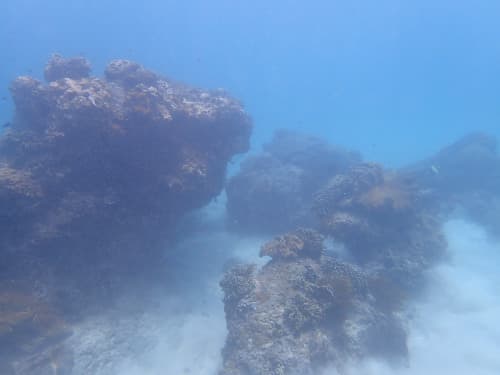 白砂の海底とサンゴの根の海景