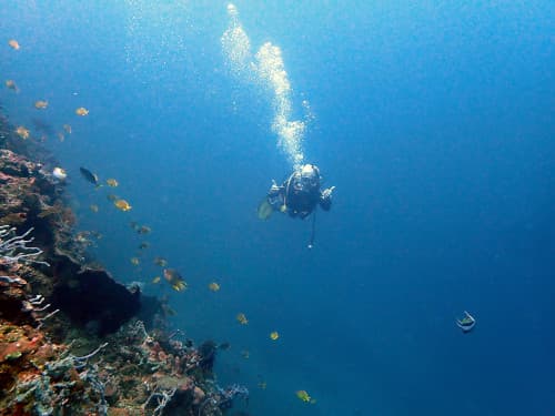 ドロップオフの地形の海中でポーズを取るダイバー