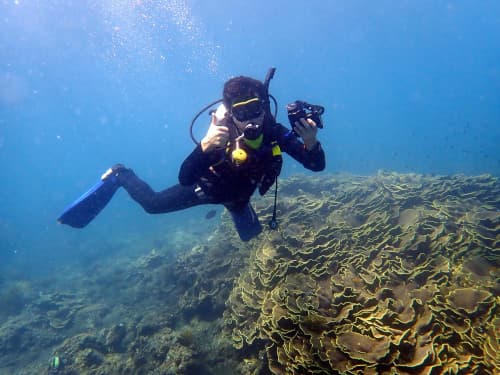 リュウキュウキッカサンゴの上を泳ぐカメラを持った男性ダイバーの海景