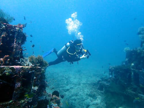水中漁礁の間を泳ぐカメラを持ったダイバーの海景