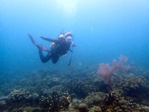 サンゴ礁の上を泳ぐ女性ダイバーの海景