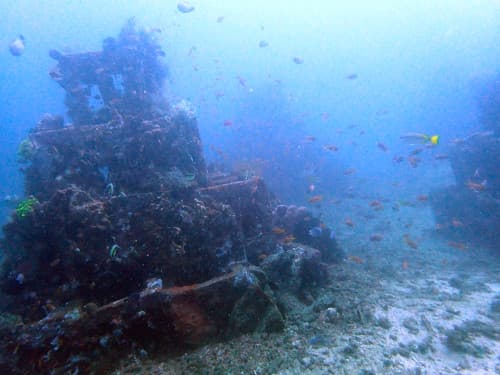 ピラミッド型の水中漁礁に群れるたくさんのお魚達の海景