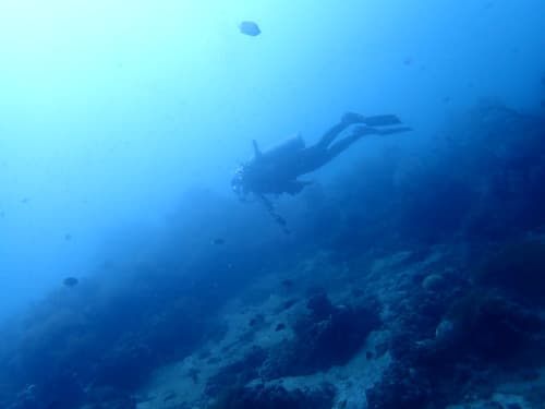太陽光をバックに海に潜っている女性ダイバーの海景