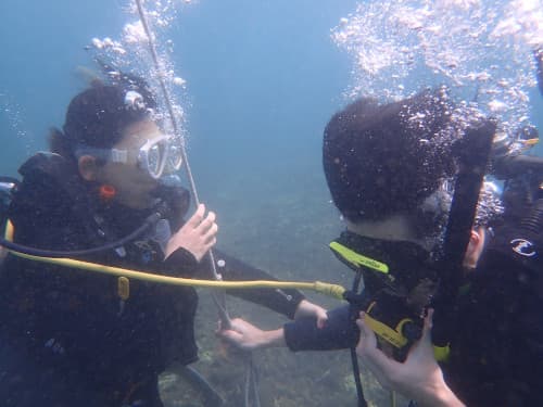 バディのオクトパスをもらって呼吸する練習をしている2名のダイバーのOW講習の海景
