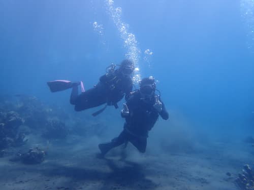 水中で記念撮影するご夫婦ダイバーの海景