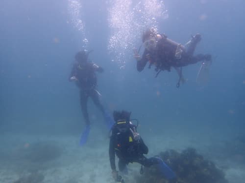 白砂の海底の海に潜って記念撮影している3名のダイバーの海景