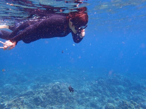 バリ島のサンゴ礁のシュノーケリングポイントで水面に浮かんでのんびりと水底を眺めている女性シュノーケラー
