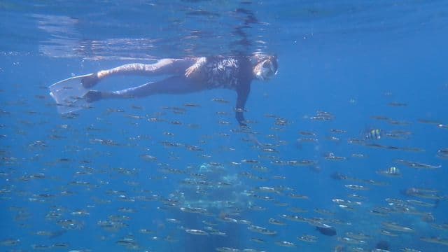 バリ島アメッドの水面に浮いてお魚をのんびり眺めている女性女性シュノーケラー、バリ島くらげ村は安全の為の少人数制でご案内