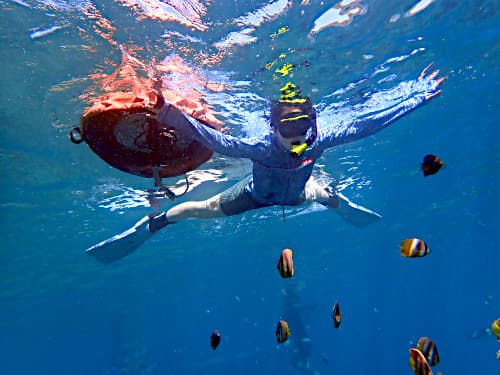 ミゾレチョウチョウウオが群れる海の水面でフロートを持ちながら体を大の字に広げている女性シュノーケラーの海景