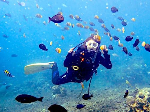 サンゴ礁の海中でお魚達に囲まれる女性ダイバーの海景