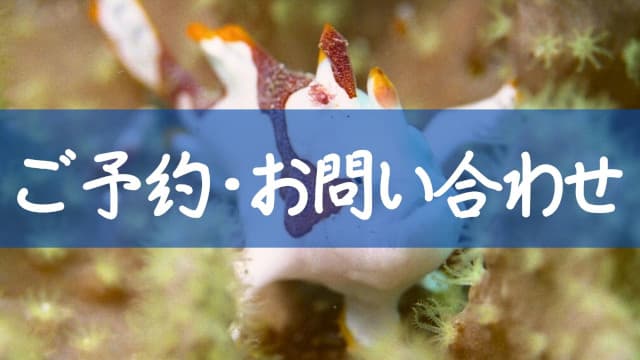 バリ島くらげ村へのご予約・お問い合わせ