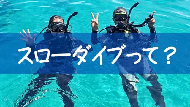 バリ島くらげ村のポリシー“スローダイブ”って何？