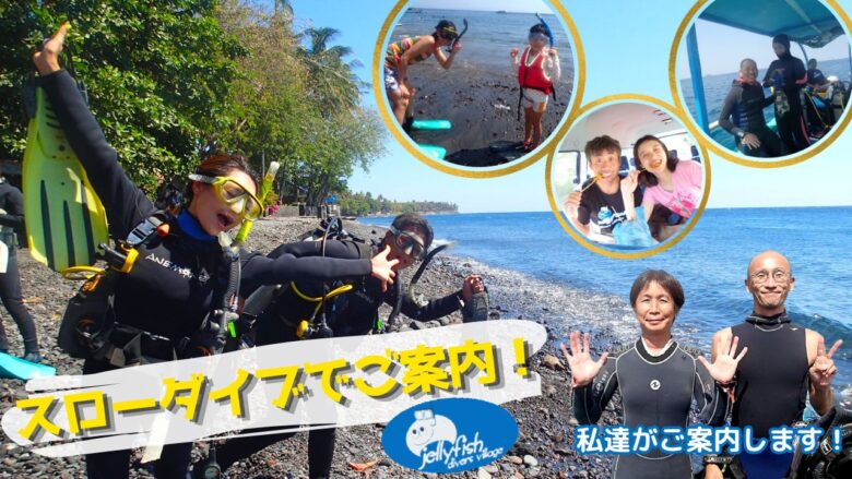 初心者さん大歓迎！バリ島スローダイビング&シュノーケリングサービスjellyfishdivers village(バリ島くらげ村)！