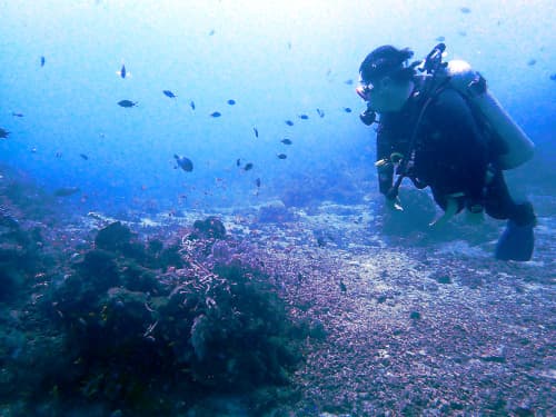 バリ島のサンゴ礁とたくさんのお魚を眺めるダイバー