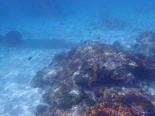 バリ島パダンバイのシュノーケリングポイントBlueLagoonのホワイトサンドとサンゴ礁の海景