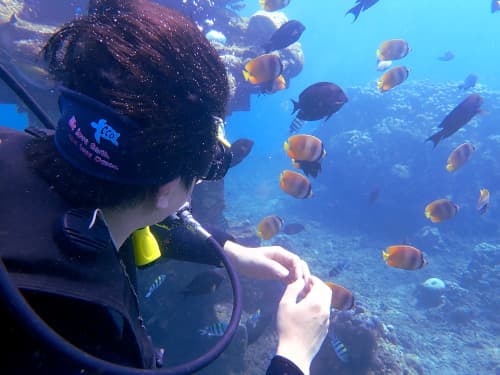 バリ島くらげ村の体験ダイビングでたくさんのお魚達を眺める体験ダイビングゲストの横顔