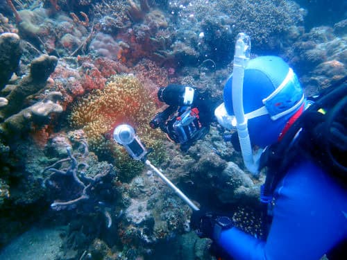 バリ島アメッドでイソギンチャクに棲むクマノミの水中撮影をしているカメラ2台持ちのダイバー