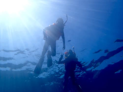 太陽がまぶしい、水面に浮かぶライフジャケットを着た親子シュノーケラー