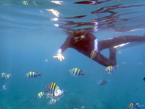 バリ島のシュノーケリングでお魚と一緒に泳ぐ10歳のお子さん