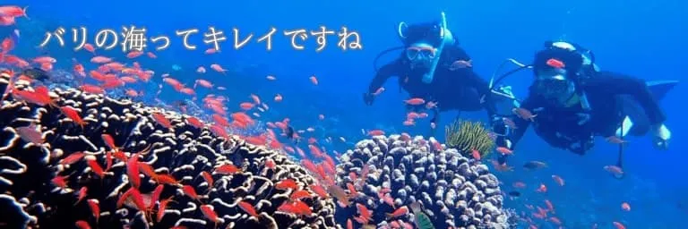 バリ島のハードコーラルに群れるキンギョハナダイに感動している２人のダイバー