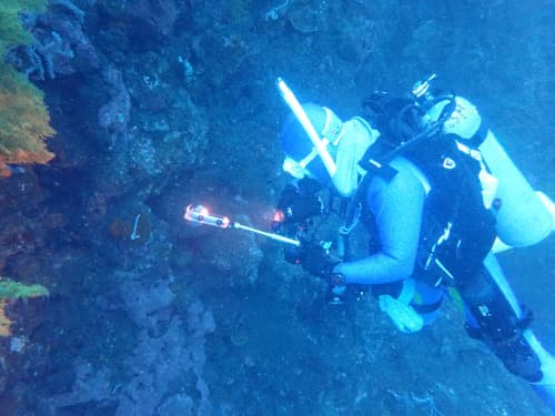 バリ島トランベンで水中撮影をしているカメラ2台持ちのダイバー