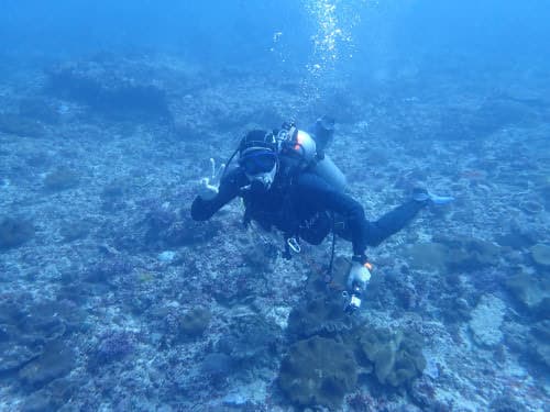 バリ島のダイビングを安心して楽しむベテランダイバー