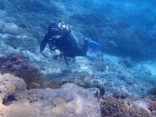 バリ島ヌサペニダでウミガメを撮影するベテランダイバー