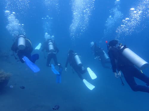 バリ島アメッドの海をダイビングしている5人の学生ダイバーの後ろ姿