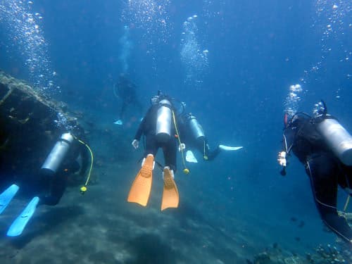 バリ島の海で安全にダイビングを楽しんでいる後ろから見た４名の女子大生ダイバー