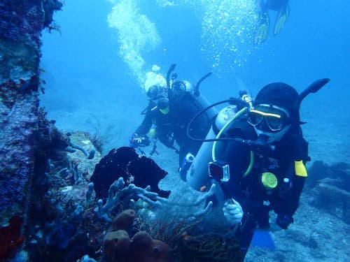 バリ島アメッドのピラミッドポイントで黒のオオモンカエルアンコウを眺めるダイバーご夫妻