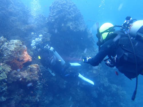 バリ島アメッドのファンダイビングでレフトウォールに潜って安全に水中撮影を楽しんでいる2名のダイバーご夫妻