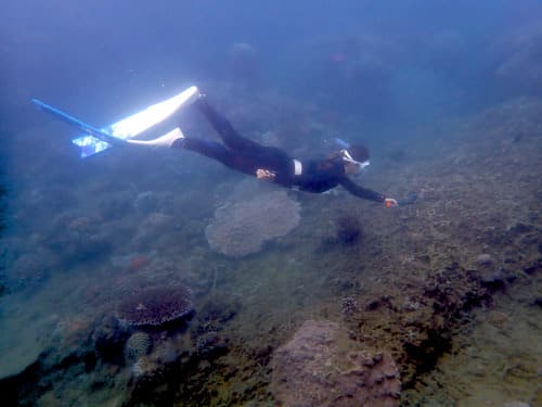 バリ島の海にキレイに潜られ水中撮影を楽しんでいるシュノーケリングのお客様