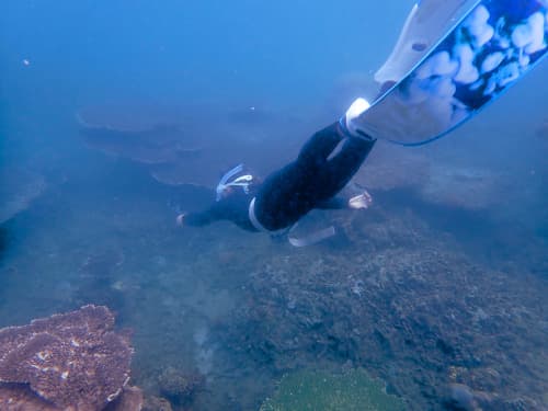 バリ島の海をシュノーケリングで潜って遊んでいる女性シュノーケラー