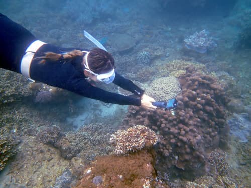 バリ島でシュノーケリングを安全に楽しむ水中に潜ってGoproで水中撮影している女性シュノーケラー