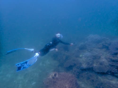 バリ島のサンゴ礁いっぱいの海をシュノーケリングで潜りながら安全に楽しんでいる女性シュノーケラーゲスト様