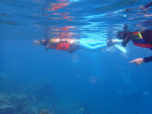 サンゴ礁豊富なバリ島の海を水面から楽しむマダムシュノーケラー