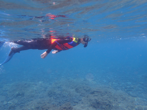 水面に浮かぶマダムシュノーケラーがバリ島の海景を水面から楽しんでいる