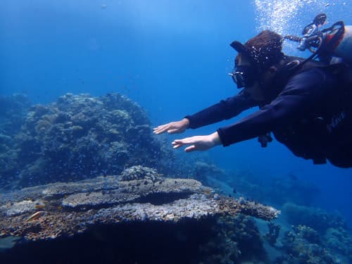 OWダイバーコース海洋実習で中性浮力の練習を必死でやってる父