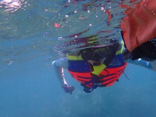 水面に浮かんで安全にシュノーケリングを楽しむ女性