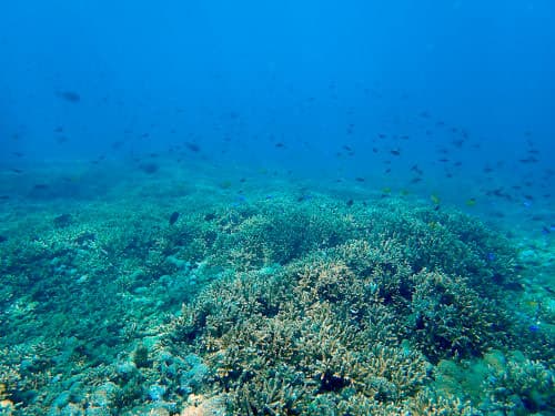 バリ島パダンバイのサンゴ礁の海景