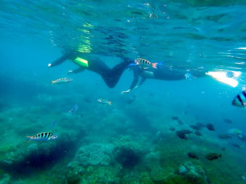 バリ島くらげ村のツアーで安心してシュノーケリングを楽しむご夫婦