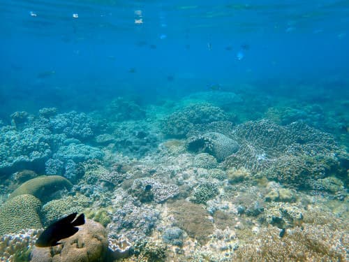 バリ島パダンバイのサンゴ礁の海景