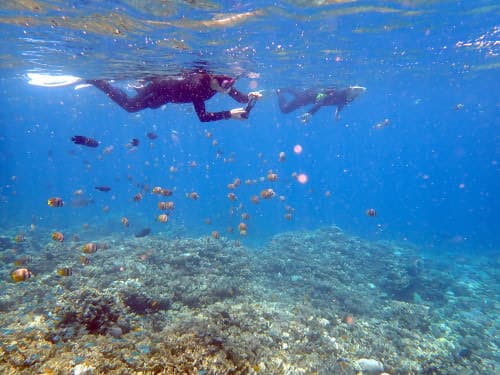 サンゴ礁とたくさんのお魚と安全にシュノーケリングを楽しむ親子