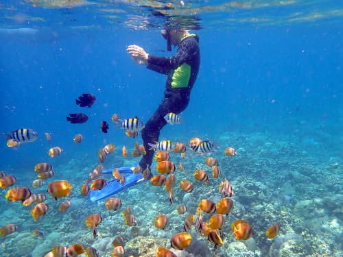 バリ島アメッドのシュノーケリングでミゾレチョウチョウウオに囲まれているシュノーケラー