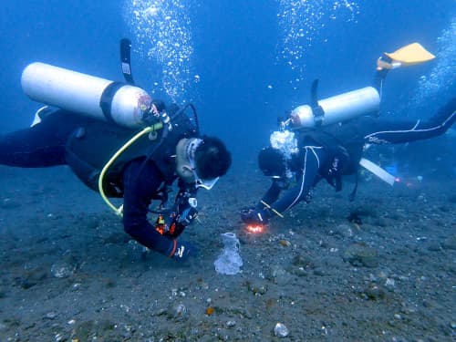 安心してマクロ生物の撮影を楽しんでいるバリ島くらげ村のダイビングゲスト様たち
